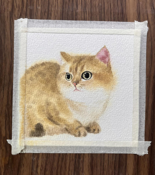 Draw a Cat Pet Portrait
